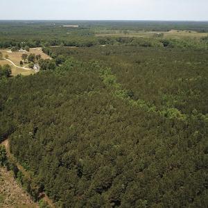 Photo #5 of Off Moores Ferry Rd , Emporia, VA 158.0 acres