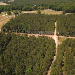 Photo #6 of Off Moores Ferry Rd , Emporia, VA 158.0 acres