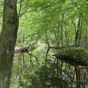 Photo #8 of Off Moores Ferry Rd , Emporia, VA 158.0 acres