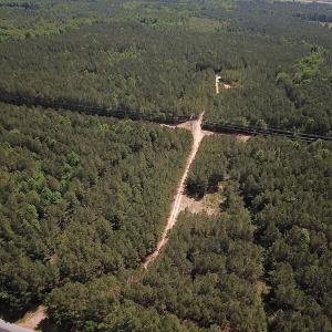 Photo #9 of Off Moores Ferry Rd , Emporia, VA 158.0 acres