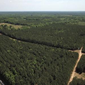 Photo #10 of Off Moores Ferry Rd , Emporia, VA 158.0 acres