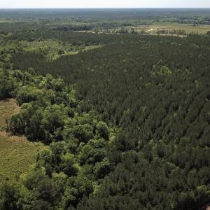 Photo #11 of Off Moores Ferry Rd , Emporia, VA 158.0 acres