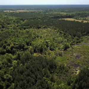 Photo #12 of Off Moores Ferry Rd , Emporia, VA 158.0 acres
