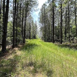 Photo #14 of Off Moores Ferry Rd , Emporia, VA 158.0 acres