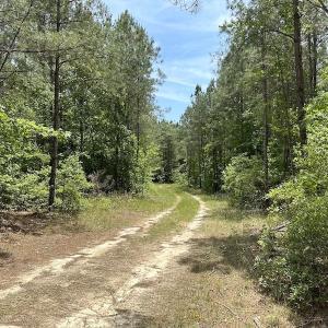 Photo #15 of Off Moores Ferry Rd , Emporia, VA 158.0 acres