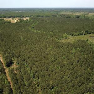Photo #16 of Off Moores Ferry Rd , Emporia, VA 158.0 acres