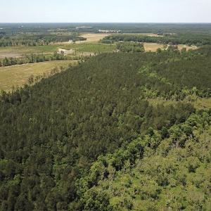 Photo #19 of Off Moores Ferry Rd , Emporia, VA 158.0 acres