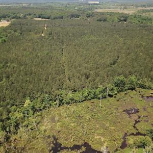 Photo #20 of Off Moores Ferry Rd , Emporia, VA 158.0 acres