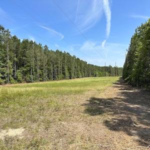 Photo #7 of Off Moores Ferry Rd , Emporia, VA 158.0 acres