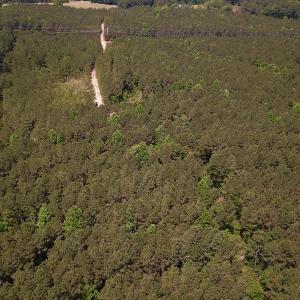 Photo #21 of Off Moores Ferry Rd , Emporia, VA 158.0 acres