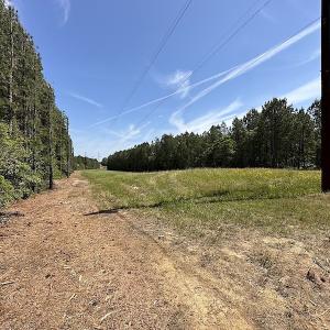 Photo #22 of Off Moores Ferry Rd , Emporia, VA 158.0 acres