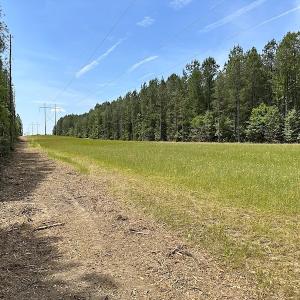 Photo #25 of Off Moores Ferry Rd , Emporia, VA 158.0 acres