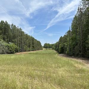 Photo #28 of Off Moores Ferry Rd , Emporia, VA 158.0 acres