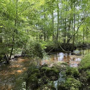 Photo #29 of Off Moores Ferry Rd , Emporia, VA 158.0 acres