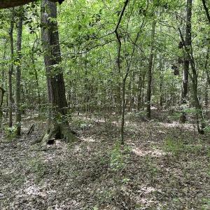 Photo #30 of Off Moores Ferry Rd , Emporia, VA 158.0 acres