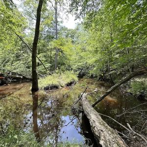 Photo #31 of Off Moores Ferry Rd , Emporia, VA 158.0 acres