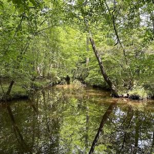 Photo #32 of Off Moores Ferry Rd , Emporia, VA 158.0 acres