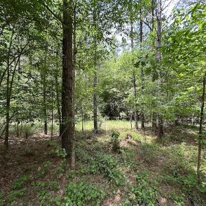 Photo #33 of Off Moores Ferry Rd , Emporia, VA 158.0 acres