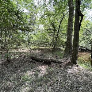Photo #34 of Off Moores Ferry Rd , Emporia, VA 158.0 acres
