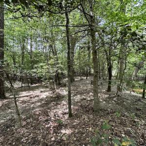 Photo #35 of Off Moores Ferry Rd , Emporia, VA 158.0 acres