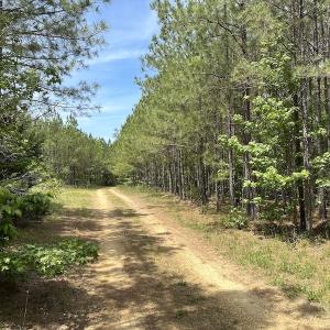 Photo #36 of Off Moores Ferry Rd , Emporia, VA 158.0 acres