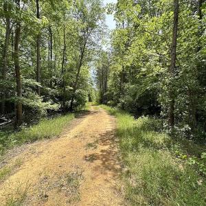 Photo #37 of Off Moores Ferry Rd , Emporia, VA 158.0 acres