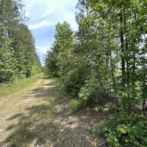 Photo #38 of Off Moores Ferry Rd , Emporia, VA 158.0 acres
