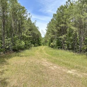 Photo #39 of Off Moores Ferry Rd , Emporia, VA 158.0 acres