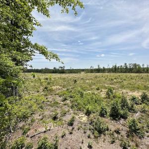 Photo #40 of Off Moores Ferry Rd , Emporia, VA 158.0 acres