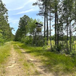 Photo #41 of Off Moores Ferry Rd , Emporia, VA 158.0 acres