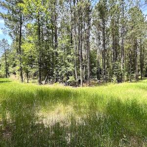 Photo #42 of Off Moores Ferry Rd , Emporia, VA 158.0 acres