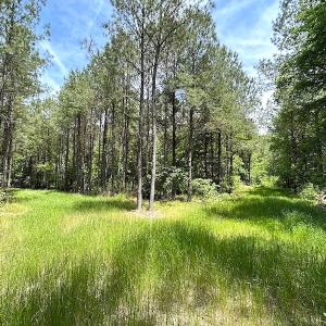 Photo #43 of Off Moores Ferry Rd , Emporia, VA 158.0 acres
