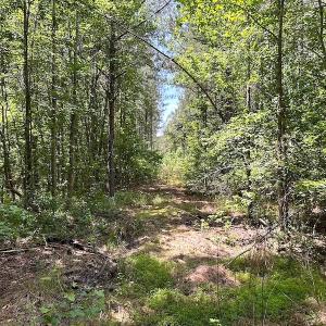 Photo #44 of Off Moores Ferry Rd , Emporia, VA 158.0 acres