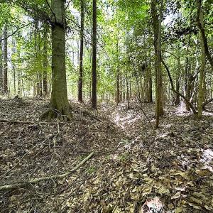 Photo #46 of Off Moores Ferry Rd , Emporia, VA 158.0 acres