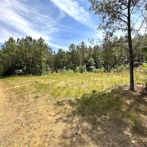 Photo #49 of Off Moores Ferry Rd , Emporia, VA 158.0 acres