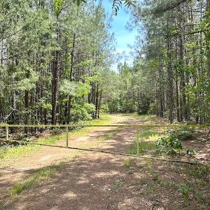 Photo #50 of Off Moores Ferry Rd , Emporia, VA 158.0 acres