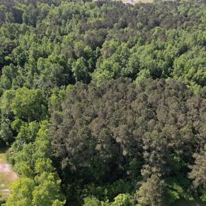 Photo #5 of SOLD property in Off Pleasant Hope Road, Fairmont, NC 5.0 acres