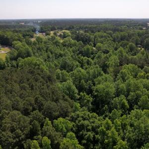 Photo #6 of SOLD property in Off Pleasant Hope Road, Fairmont, NC 5.0 acres