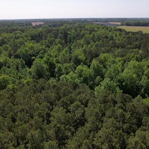 Photo #7 of SOLD property in Off Pleasant Hope Road, Fairmont, NC 5.0 acres