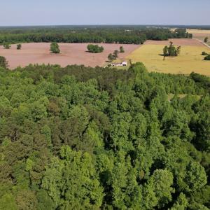 Photo #8 of SOLD property in Off Pleasant Hope Road, Fairmont, NC 5.0 acres