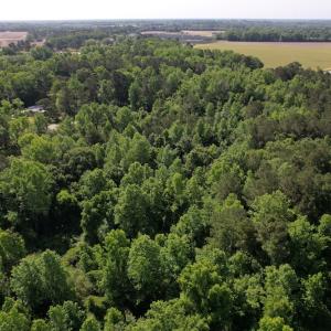 Photo #9 of SOLD property in Off Pleasant Hope Road, Fairmont, NC 5.0 acres