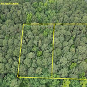 Photo #2 of Off Johnson Lane, Carrollton, VA 0.6 acres