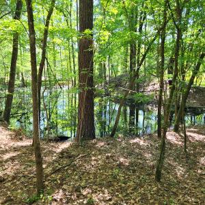 Photo #14 of SOLD property in 1100 Langley Road, Orangeburg, SC 131.2 acres