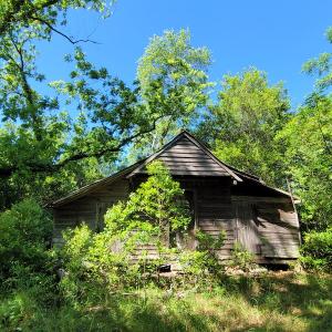 Photo #19 of SOLD property in 1100 Langley Road, Orangeburg, SC 131.2 acres