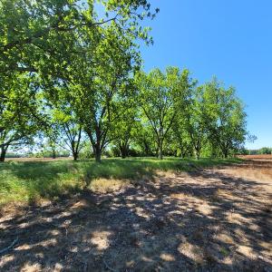 Photo #5 of SOLD property in 1100 Langley Road, Orangeburg, SC 131.2 acres