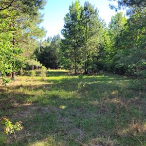 Photo #8 of SOLD property in 1100 Langley Road, Orangeburg, SC 131.2 acres