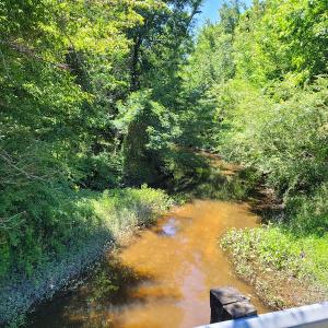 Photo #21 of SOLD property in 1100 Langley Road, Orangeburg, SC 131.2 acres