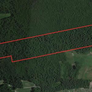 Photo #1 of SOLD property in Off Delway Highway, Rose Hill, NC 40.0 acres
