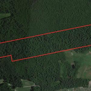 Photo #1 of SOLD property in Off Delway Highway, Rose Hill, NC 40.0 acres