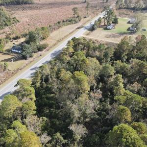 Photo #16 of SOLD property in Off Delway Highway, Rose Hill, NC 40.0 acres